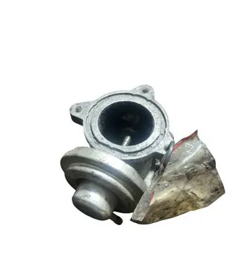 Volkswagen Polo IV 9N3 EGR valve 045131501K 261615090 V100
