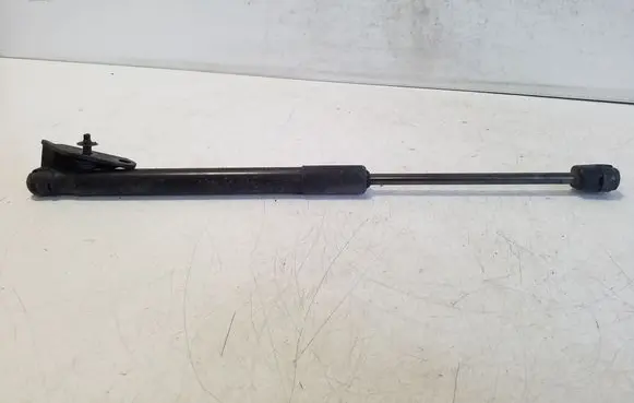 Tailgate/trunk strut/damper