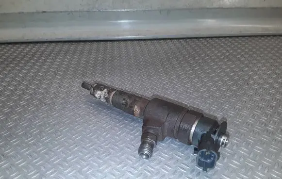 Citroen Nemo Fuel injector 0445110252