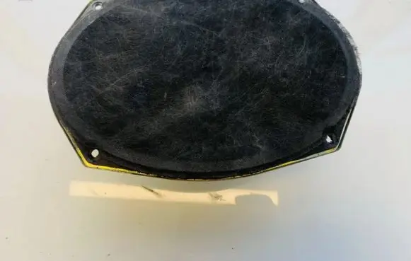 Chrysler Town & Country IV Front door speaker 05091019ab easa23d22a4