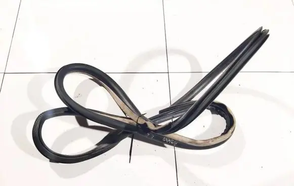 Renault Laguna III Rubber seal front coupe door 