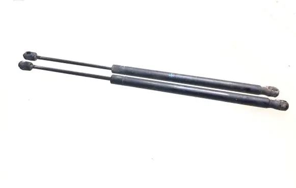 Renault Scenic II - Grand scenic II Tailgate/trunk strut/damper 8200377789