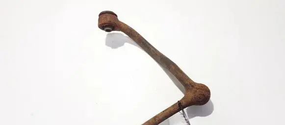 Front lower control arm/wishbone