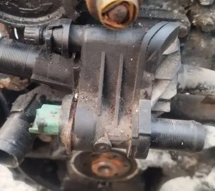 Peugeot Partner Engine coolant pipe/hose