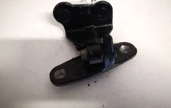 Rear door lower hinge