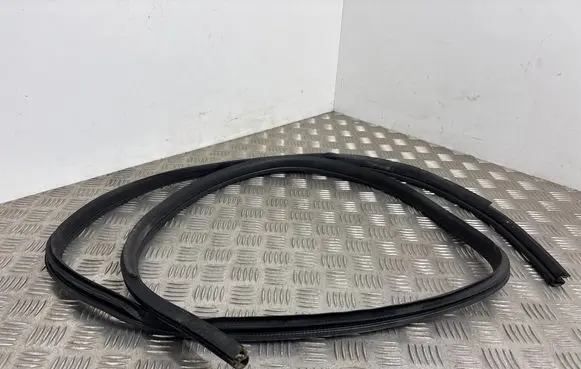 Nissan Juke II F16 Rubber seal rear door 