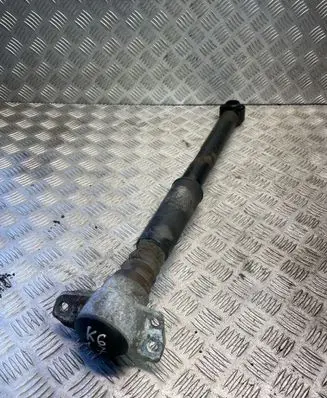 Rear shock absorber/damper