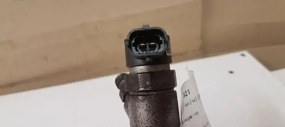 Volvo V70 Fuel injector 0445110251
