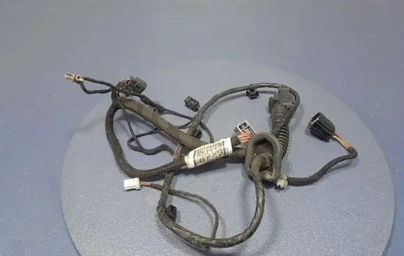Other wiring loom