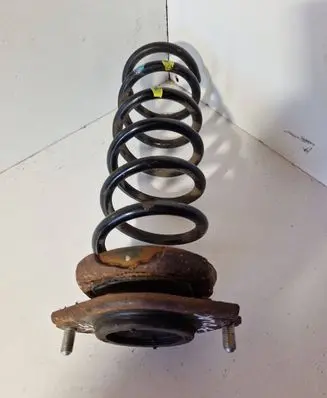 Rear coil spring