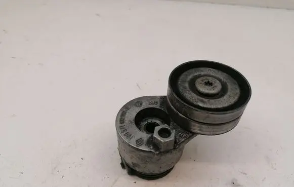 Opel Vivaro Timing belt/chain tensioner 1905716220002 190571