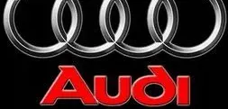 Audi Q3 F3 Generator/alternator belt tensioner 05E109244