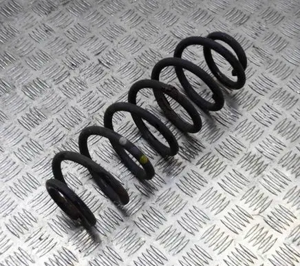Volkswagen Tiguan Rear coil spring