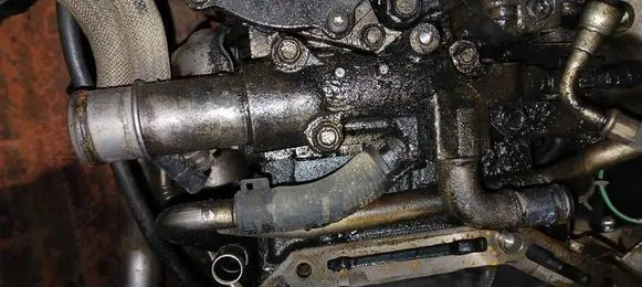 Opel Antara Engine coolant pipe/hose 