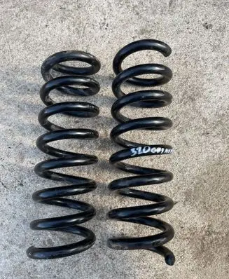 Rear coil spring