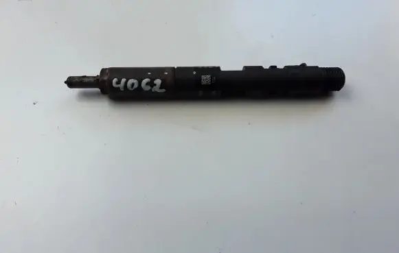 Renault Kangoo II Fuel injector 8200827965