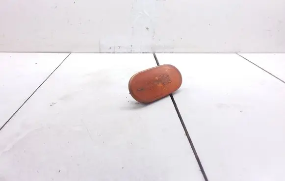 Front fender indicator light