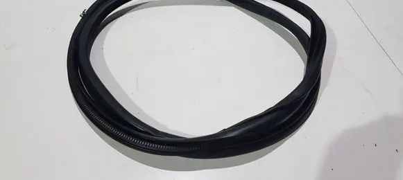Toyota C-HR I Rear door rubber seal (on body) 62331F4010