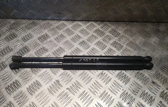 Tailgate/trunk strut/damper