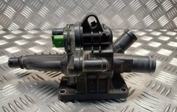 Thermostat/thermostat housing