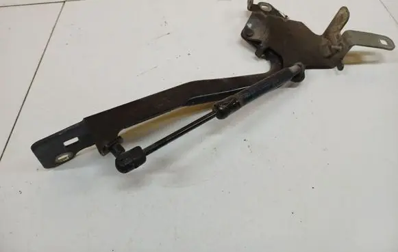 Renault Scenic III - Grand scenic III Engine bonnet/hood hinges 654010004