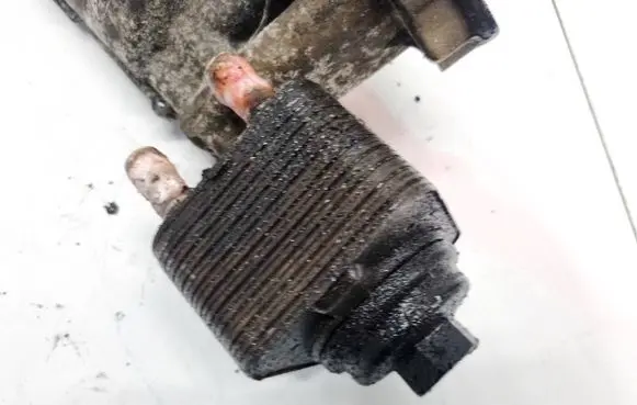 Volkswagen PASSAT B5.5 Engine oil radiator 