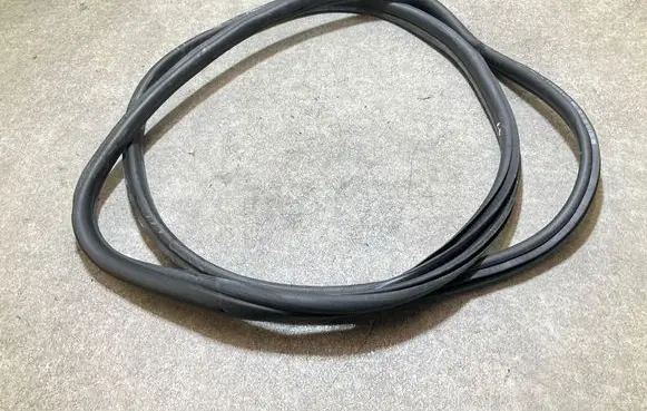 BMW iX3 Rear door rubber seal (on body) 7393449