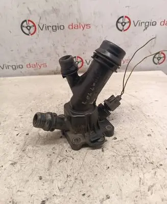 Thermostat/thermostat housing