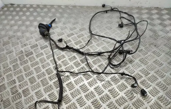 BMW 2 F45 Parking sensor (PDC) wiring loom 938025001