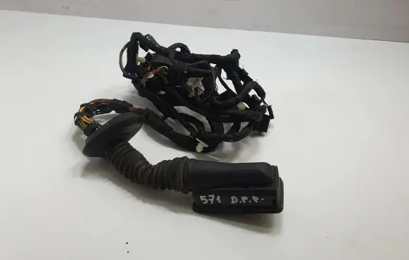 Front door wiring loom