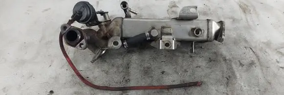 EGR valve cooler