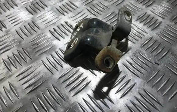 Rear door lower hinge