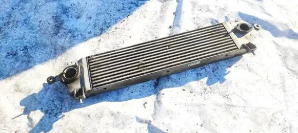 Nissan Qashqai Intercooler radiator 14461JD50A G3062003