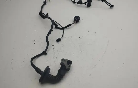 Front door wiring loom