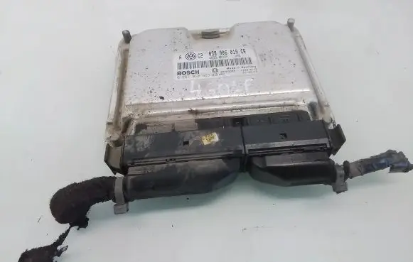 Volkswagen Golf IV Engine control unit/module 038906019CR