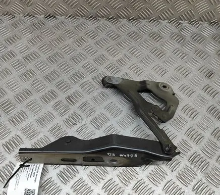 Audi E-tron GT Engine bonnet/hood hinges 4J3823296A