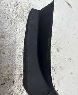 Rear/tail light trim molding