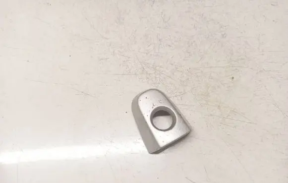 Toyota RAV 4 (XA30) Loading door cover/cap 