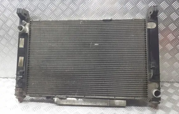Mercedes-Benz A W169 Coolant radiator A1695001204