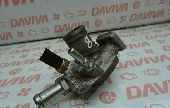 Thermostat/thermostat housing