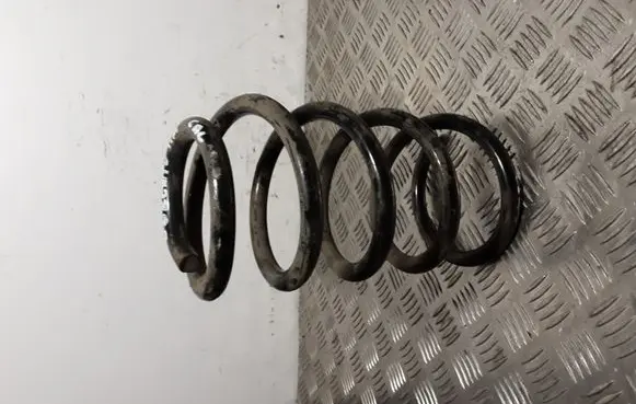 Hyundai Santa Fe Rear coil spring