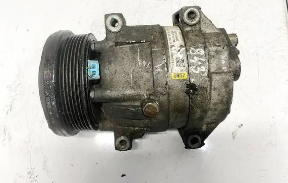 Chevrolet Epica Air conditioning (A/C) compressor (pump) tsp0155657 02087101718