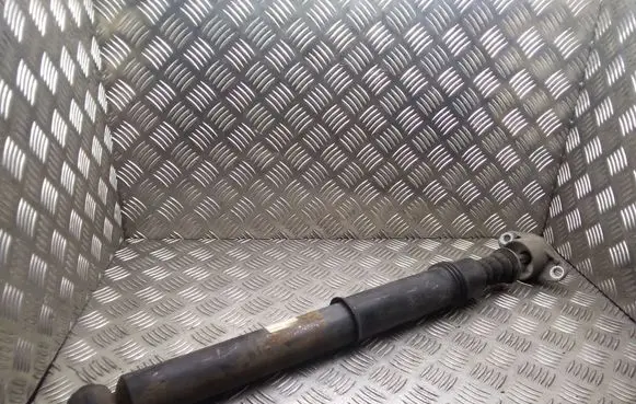 Citroen C4 I Rear shock absorber/damper