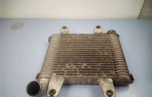 KIA Carnival Intercooler radiator 55313550