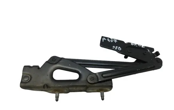 Peugeot 407 Tailgate/trunk/boot hinge