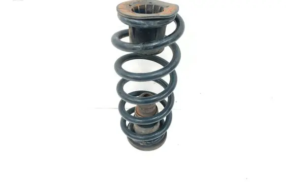 Dodge Grand Caravan Rear coil spring