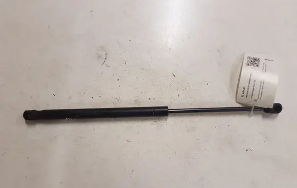 Renault Megane II Tailgate/trunk strut/damper 2472N0F30500N