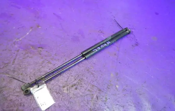 Tailgate strut
