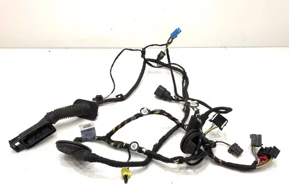 Audi TT TTS RS Mk3 8S Front door wiring loom 8S0971029E