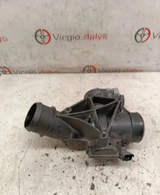 Peugeot 207 Throttle valve 25365223
